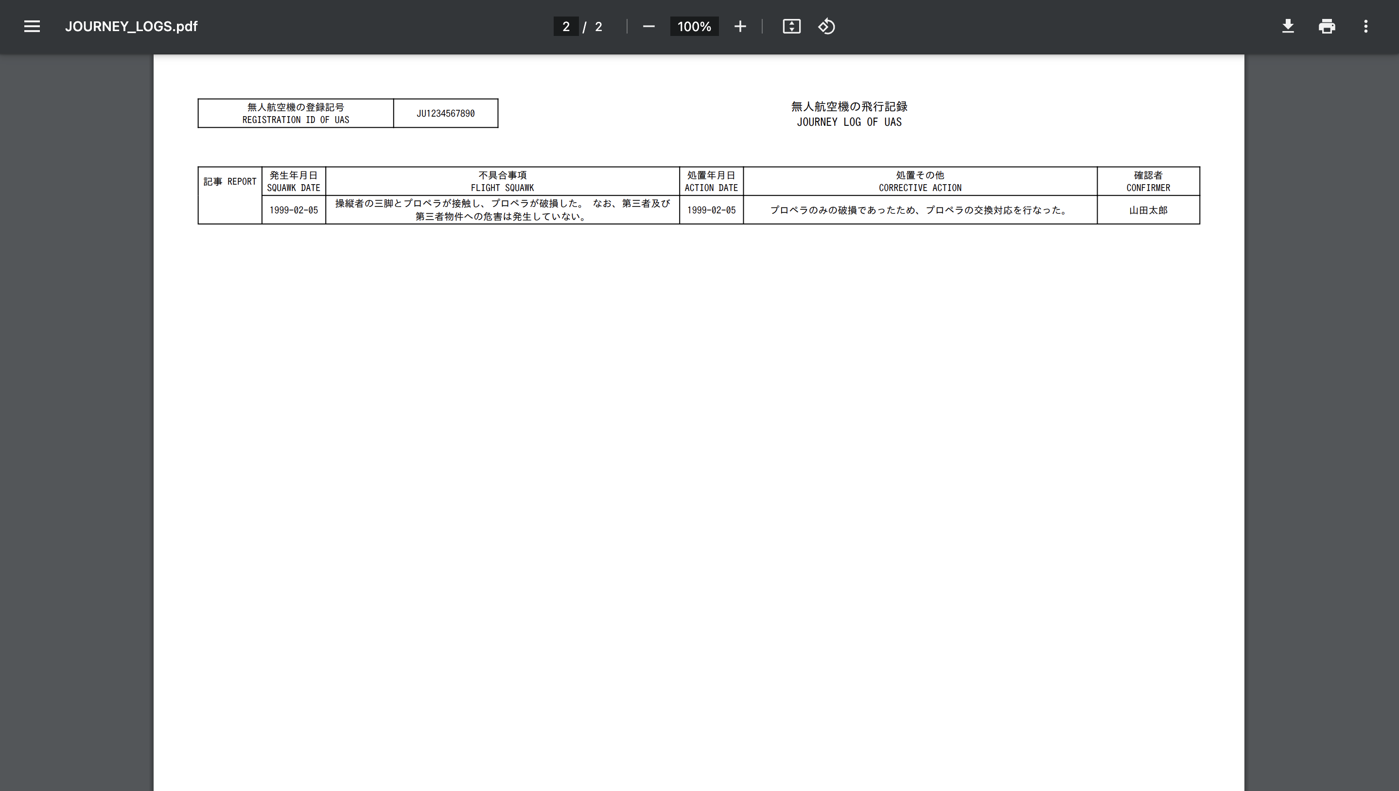 SKY LOGBOOK 飛行記録出力結果