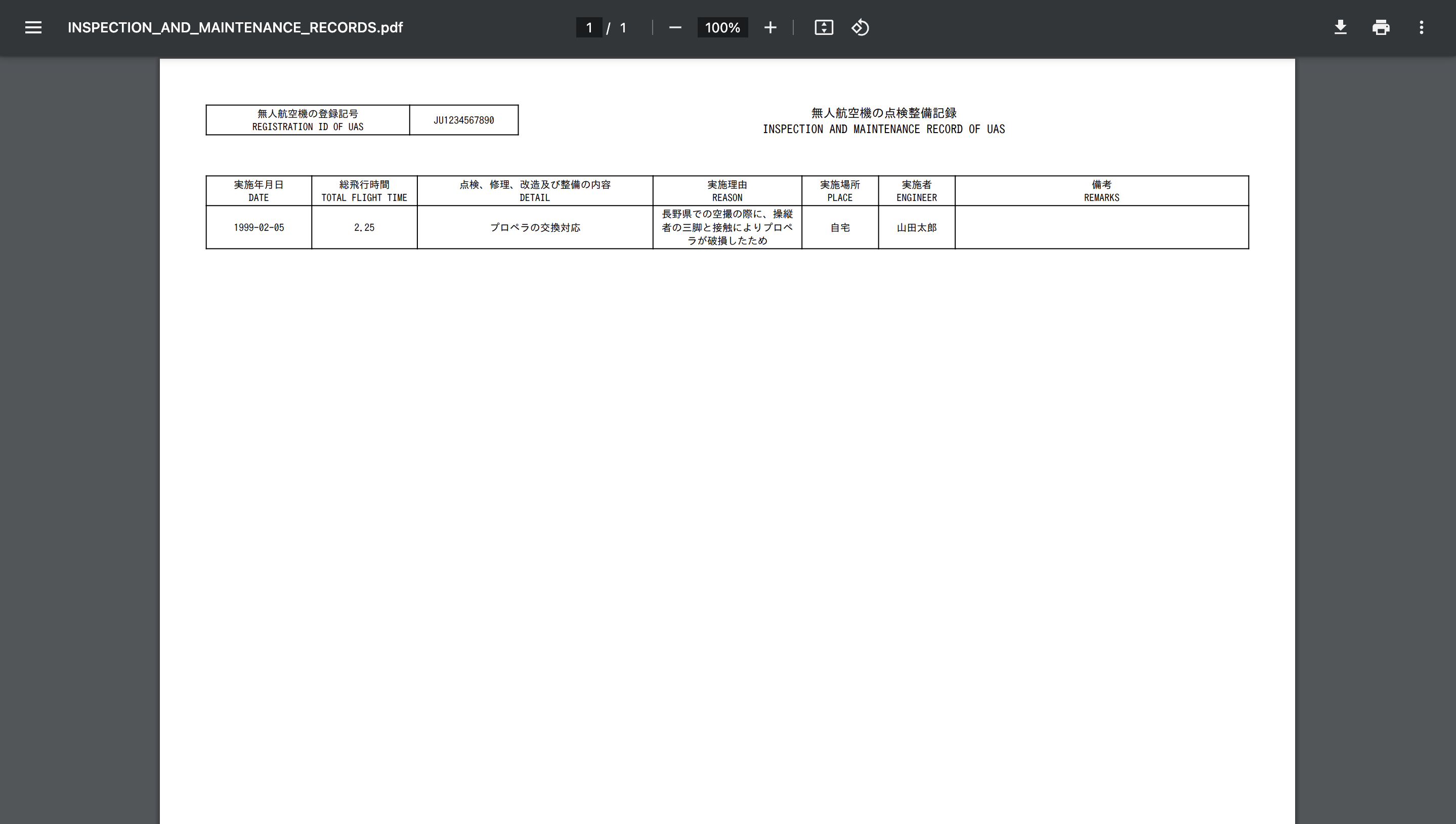 SKY LOGBOOK 飛行記録出力結果